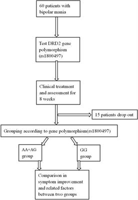 Correlation of the DRD2 gene polymorphism with psychopathology and predictive antimanic responses in patients with bipolar mania